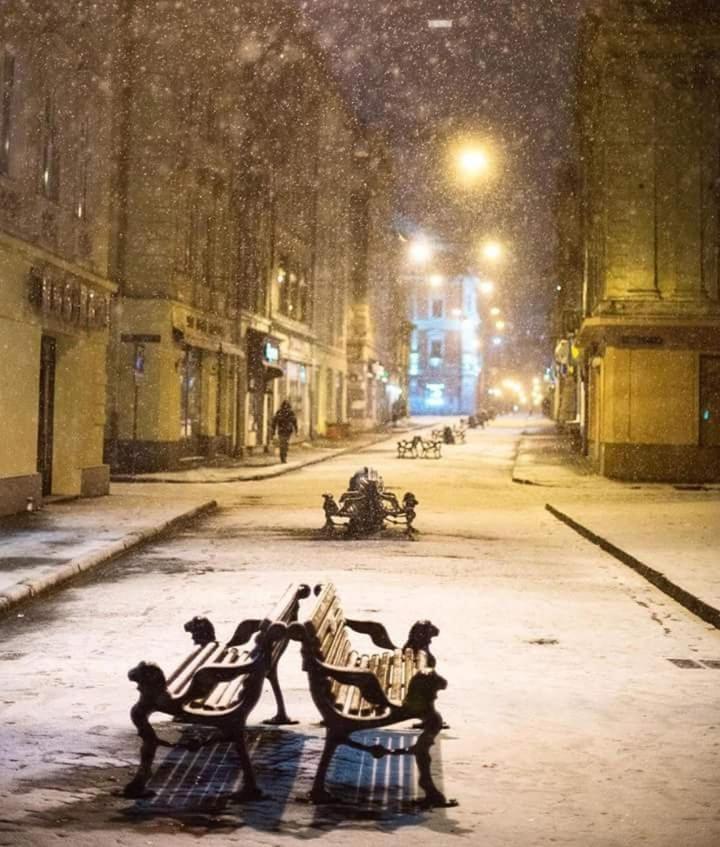 Apartments Galitskaya Street リヴィウ エクステリア 写真